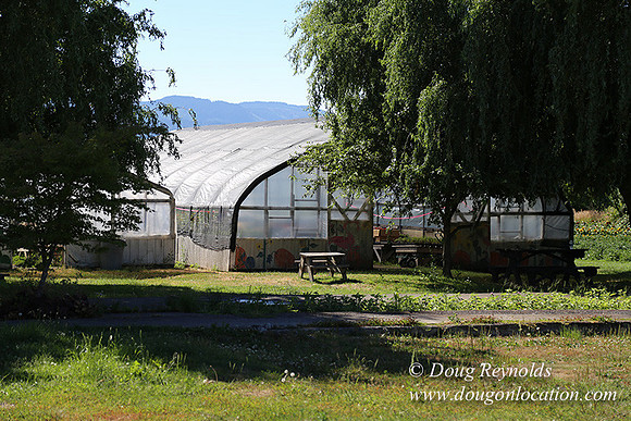 Thompson Rd Farm-8276