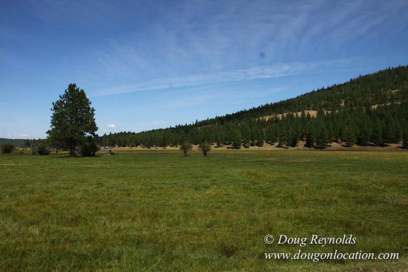 Ranch 18 South side of Hwy  has 2500 Acres of green fields Creeks water crossing Bridges on a Large Lake and miles of Dirt roads Oak trees  Forest land ATV Trails cows