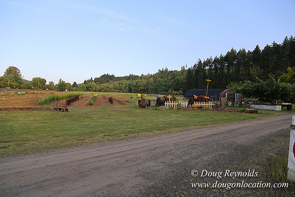 Jim Dandy Farm-5073