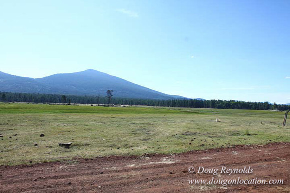 Ranch 18 South side of Hwy  has 2500 Acres of green fields Creeks water crossing Bridges on a Large Lake and miles of Dirt roads Oak trees  Forest land ATV Trails cows