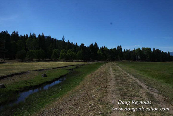 Ranch 18 South side of Hwy  has 2500 Acres of green fields Creeks water crossing Bridges on a Large Lake and miles of Dirt roads Oak trees  Forest land ATV Trails cows