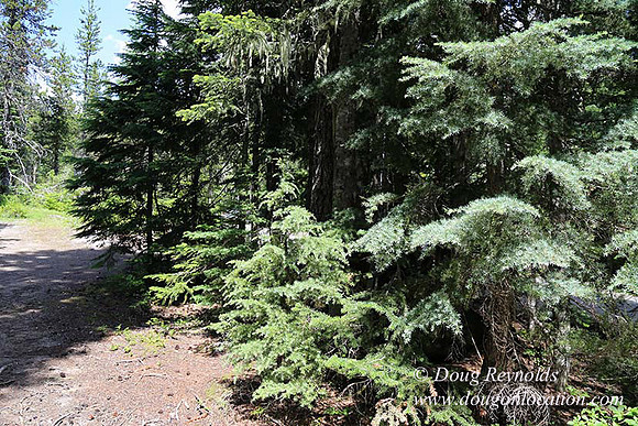 Jerry's Cabin-6649