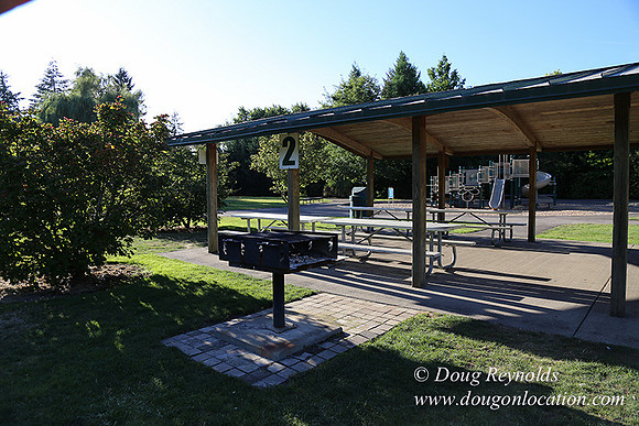 Lincoln Park-0563