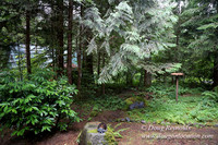 Gary's Cabin-7541
