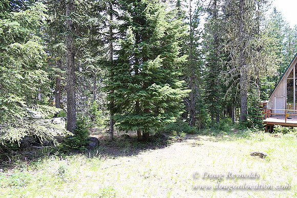 Jerry's Cabin-6657