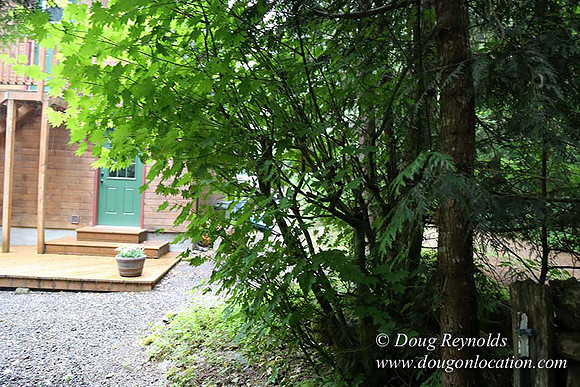 Gary's Cabin-7579
