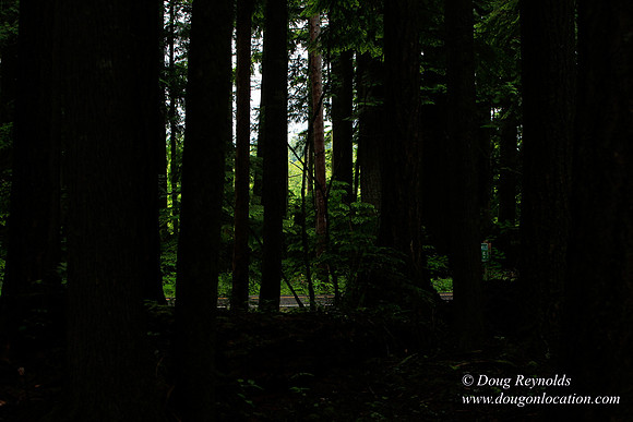 Larch Mt Rd
