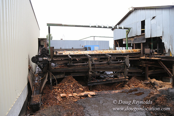 Saw Mill and Lumber Yard