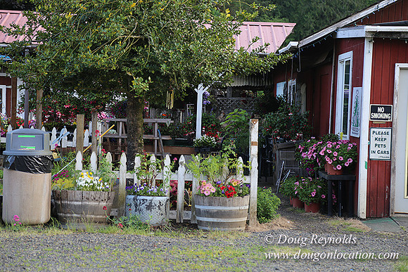 Jim Dandy Farm-5068