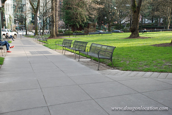 Chapman Square-0466