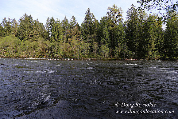 Brians River Side-0015