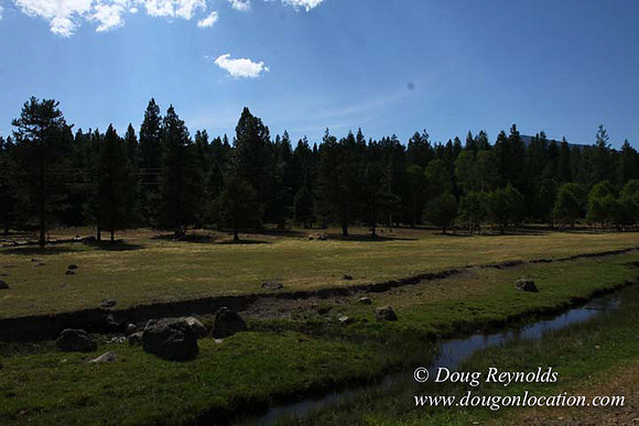 Ranch 18 South side of Hwy  has 2500 Acres of green fields Creeks water crossing Bridges on a Large Lake and miles of Dirt roads Oak trees  Forest land ATV Trails cows