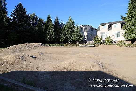Lincoln Park-0584