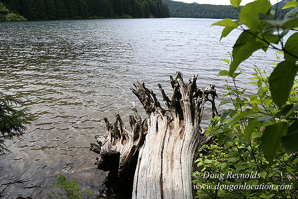 Lost Lake South Side 1-4229