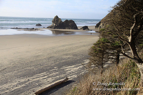 33 Beach A89-1428