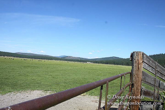 Ranch 18 South side of Hwy  has 2500 Acres of green fields Creeks water crossing Bridges on a Large Lake and miles of Dirt roads Oak trees  Forest land ATV Trails cows