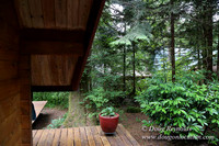 Gary's Cabin-7540