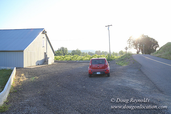 Shaw Tool & Grape-7163