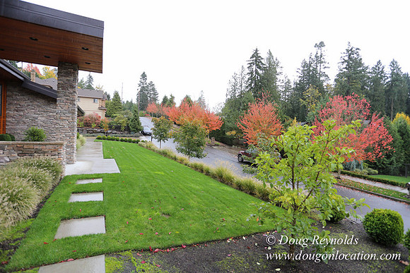 Kathy's House-0406