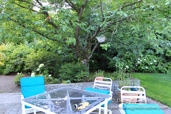 Large Traditional 70’s Style Home, 2 story, 3 car garage on Large Lot with Bees
