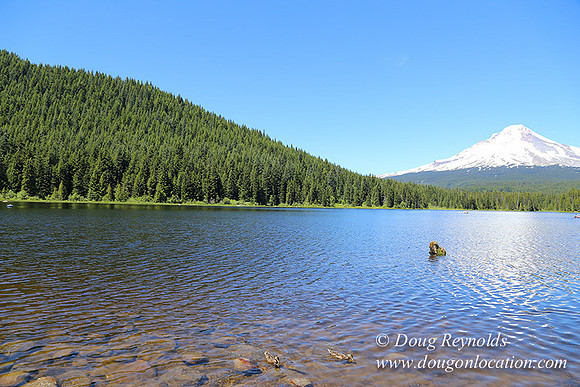 Trillium Lake-32003568