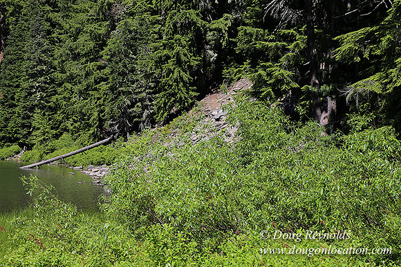 Frog Lake-3431