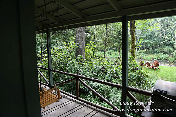 Small, Cabin, Home, River, OR, Oregon, Green, Yard,