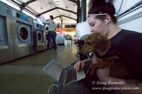 Spin Laundry-2706