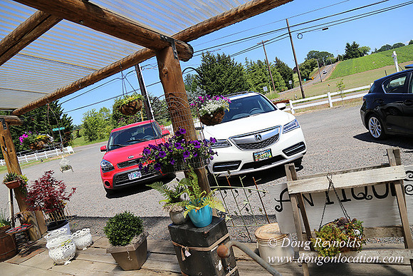 Little Door Farm Market-5400