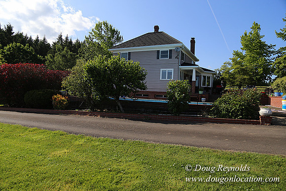 "2 Barns", "2 car garage", "40+ Acres", "PDX Zone", Pool, "White Fence", cows, "farm House", "rap around dive", "well maintained"
