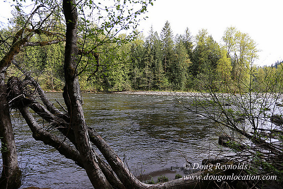 Brians River Side-0025