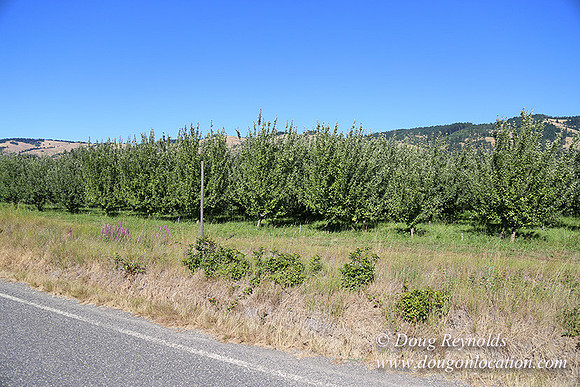 Thompson Rd Farm-8274