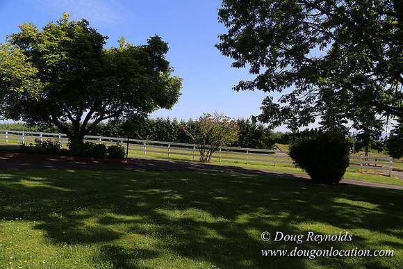 "2 Barns", "2 car garage", "40+ Acres", "PDX Zone", Pool, "White Fence", cows, "farm House", "rap around dive", "well maintained"