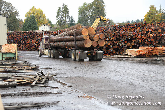 Saw Mill and Lumber Yard