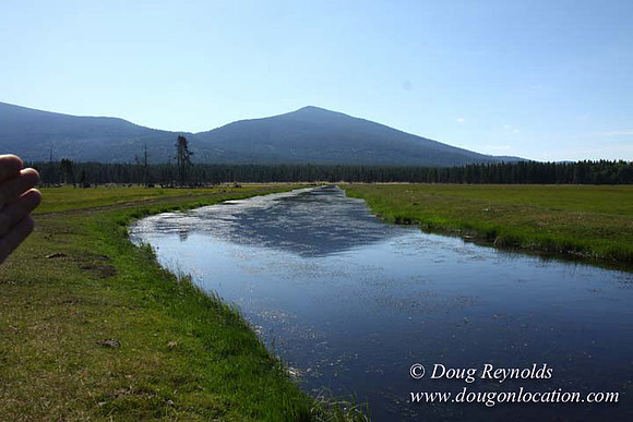Ranch 18 South side of Hwy  has 2500 Acres of green fields Creeks water crossing Bridges on a Large Lake and miles of Dirt roads Oak trees  Forest land ATV Trails cows
