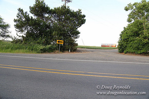 Mountaindale Rd-6435