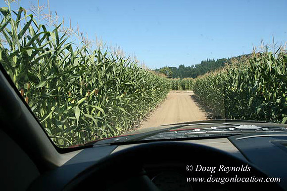 Farm 4 has Barns Shops they grow Wheat and Corn.  in the Portland Zone