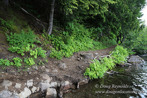 Lost Lake West Side 2-4261