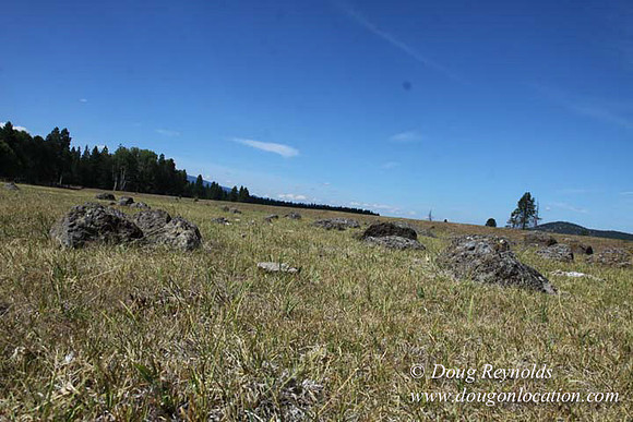 Ranch 18 South side of Hwy  has 2500 Acres of green fields Creeks water crossing Bridges on a Large Lake and miles of Dirt roads Oak trees  Forest land ATV Trails cows
