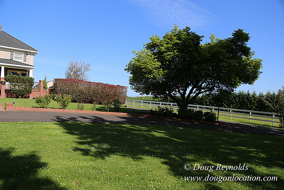 "2 Barns", "2 car garage", "40+ Acres", "PDX Zone", Pool, "White Fence", cows, "farm House", "rap around dive", "well maintained"