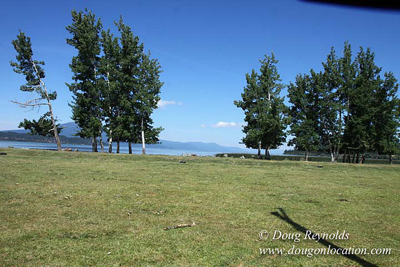2500 Acres of green fields Creeks water crossing Bridges on a Large Lake and miles of Dirt roads Oak trees Forest land ATV Trails cows