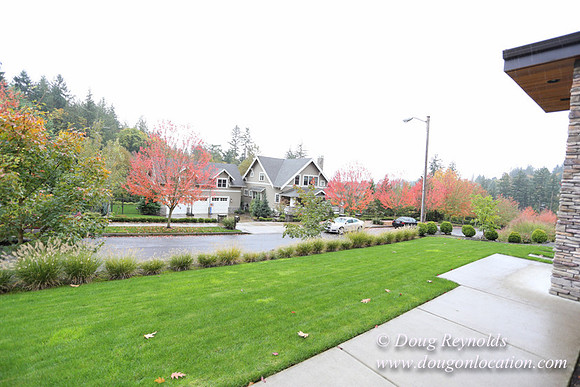 Kathy's House-0396