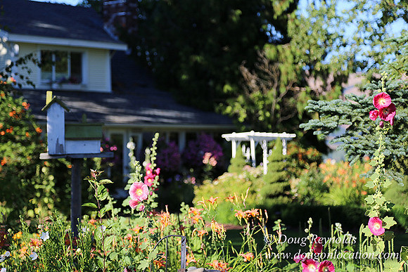 Patricks Farm-8522
