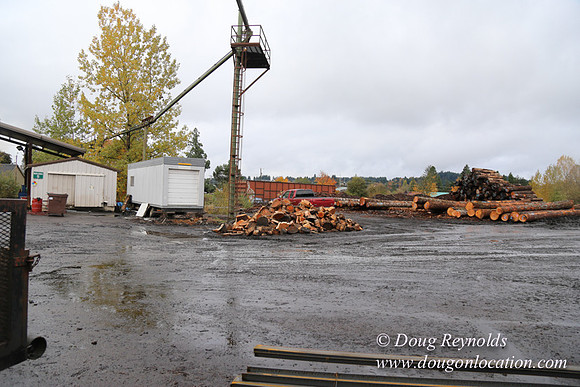 Saw Mill and Lumber Yard