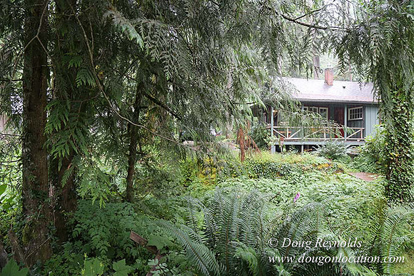 Small, Cabin, Home, River, OR, Oregon, Green, Yard,