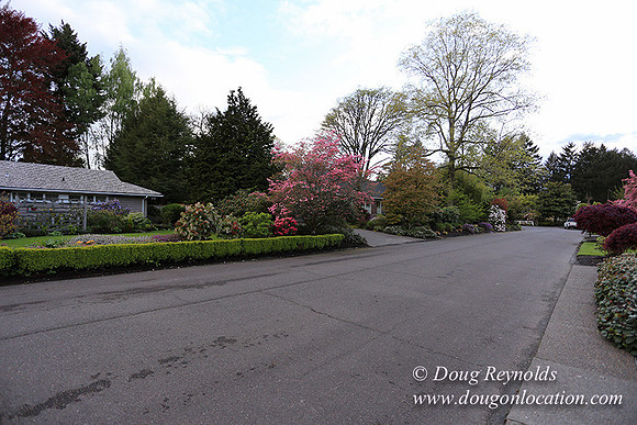 Mid Century Traditional Style Home, With a Basement, 2 car garage average sized Back Yard with Patio.