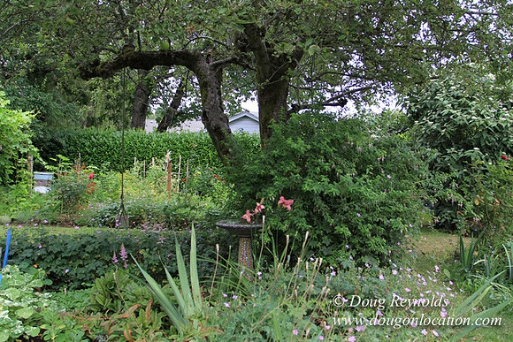 Laura’s Home This is a Portland Bungalow Style small home with a average sized and interesting back yard, nice garden with bee hive’s
