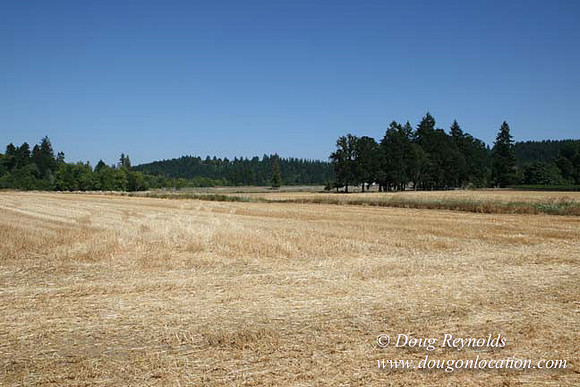 Farm 4 has Barns Shops they grow Wheat and Corn.  in the Portland Zone