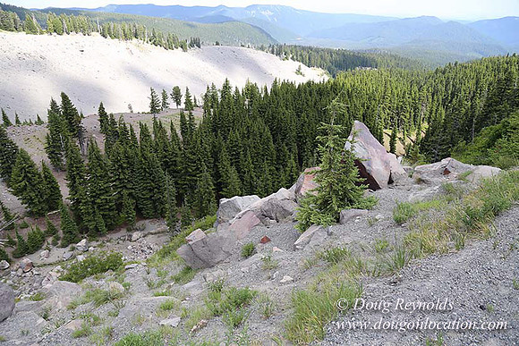 Timberline East rock-6767