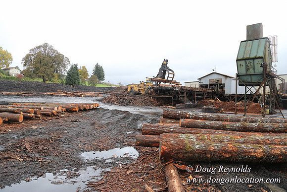 Saw Mill and Lumber Yard